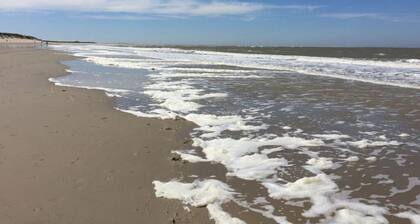 Holiday Home in Renesse