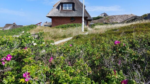 Een rieten huis met een fundering van baksteen, omgeven door weelderige begroeiing en bloemen.