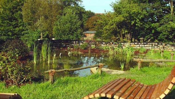 Eksteriør