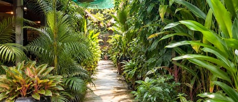 A pathway surrounded by lush greenery and potted plants.