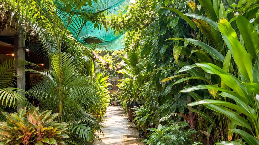 Siem Reap Homesteading Garden Retreat