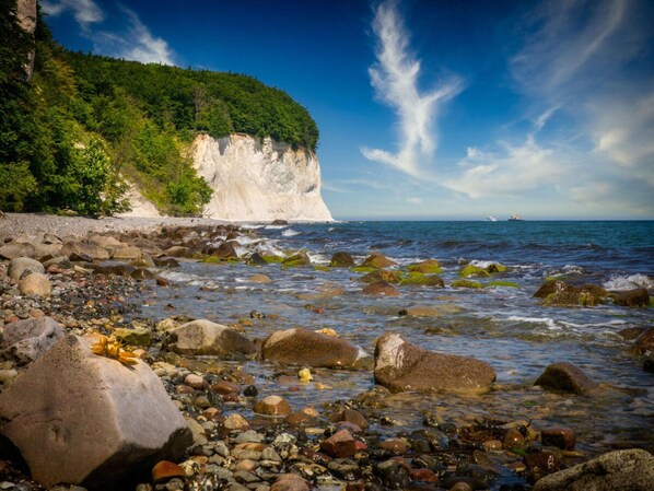 View from property - Beach Idyll Holiday Apartment (Ostseebad Baabe)