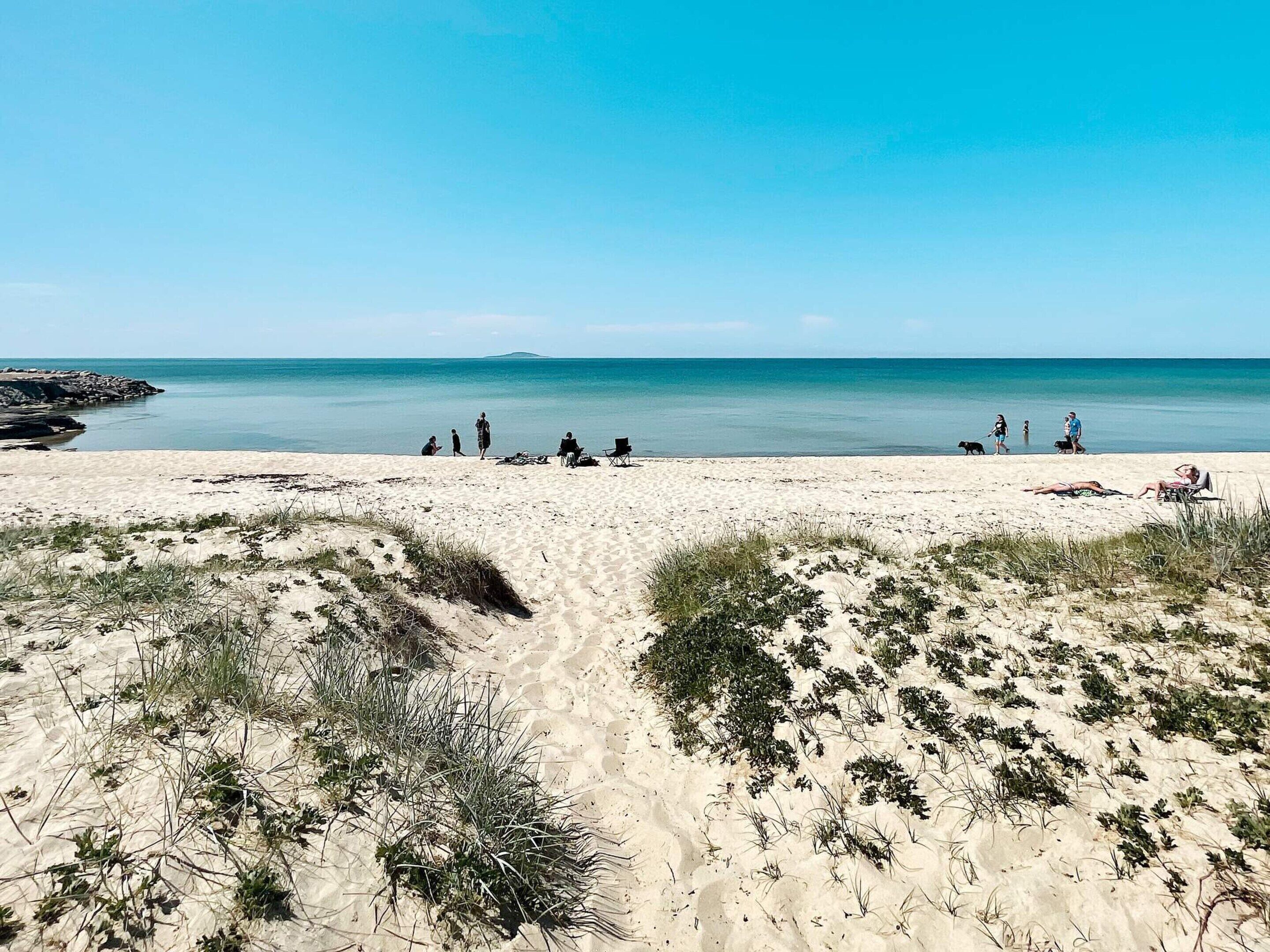 A beach with people, a dog, and a chair.