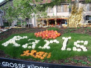 A garden with pumpkins arranged to spell "GROSSFÜRKIESS" and a sign reading "GROSSFÜRKIESS". - Holiday Apartment Grohnert (Lübeck)