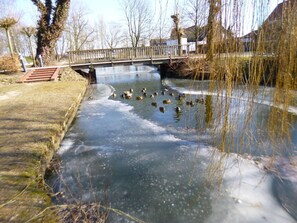 A frozen pond with ducks, a wooden bridge, and bare trees. - Holiday Home Christmann (Wangerland)