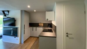 A modern kitchen with a built-in stove, a sink, and a television mounted above the counter. - Holiday Home Seehutte (Malschwitz)