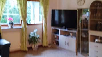A living room with a television, a potted plant, and a window with curtains.