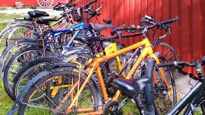 Eine Reihe von Fahrrädern steht an einer roten Wand, verschiedene Modelle und Farben sind zu sehen.