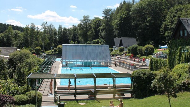 A swimming pool with a covered area, surrounded by lush greenery and a forested backdrop.