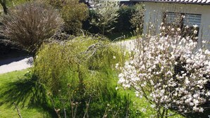 A garden with various shrubs and flowering trees, a pathway, and a building with a tiled roof. - Holiday Apartment Hammann (Sietow)