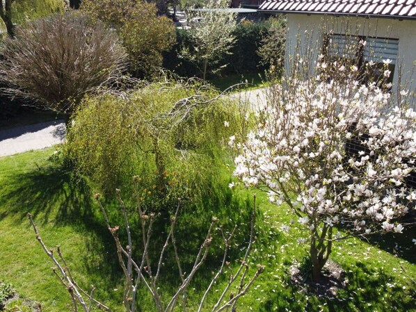 Stroll through the beautifully maintained garden, surrounded by lush greenery and vibrant flowering plants.