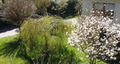 Holiday Apartment Hammann