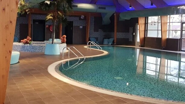 An indoor swimming pool with a tiled floor, a pool ladder, and a palm tree. - Cube Elite Noteboom 11 (Hulshorst)
