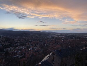 A panoramic view of a cityscape with a prominent church spire, dense residential area, and distant hills. - Holiday Apartment on the Anger (Wernigerode)