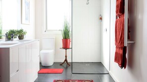 Shower, hair dryer, towels