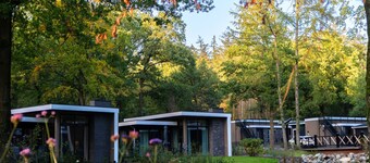 Forest Lodge in Nature With Pond Views