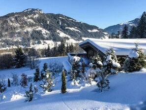 Escape to a serene mountain retreat surrounded by towering conifers and breathtaking views.