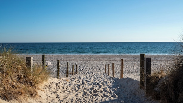 A sandy beach with wooden posts and sparse vegetation. - Cosy, fully-renovated apartment with ocean views and 1-minute walk to the beach (West Beach)