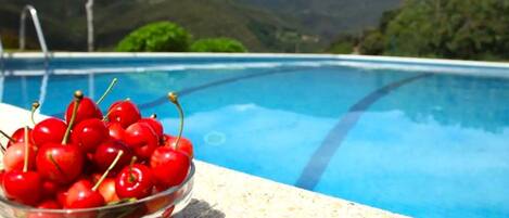 House | Pool | Outdoor pool