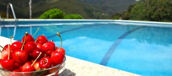 Apartment in Spain With Pool and Scenic Views