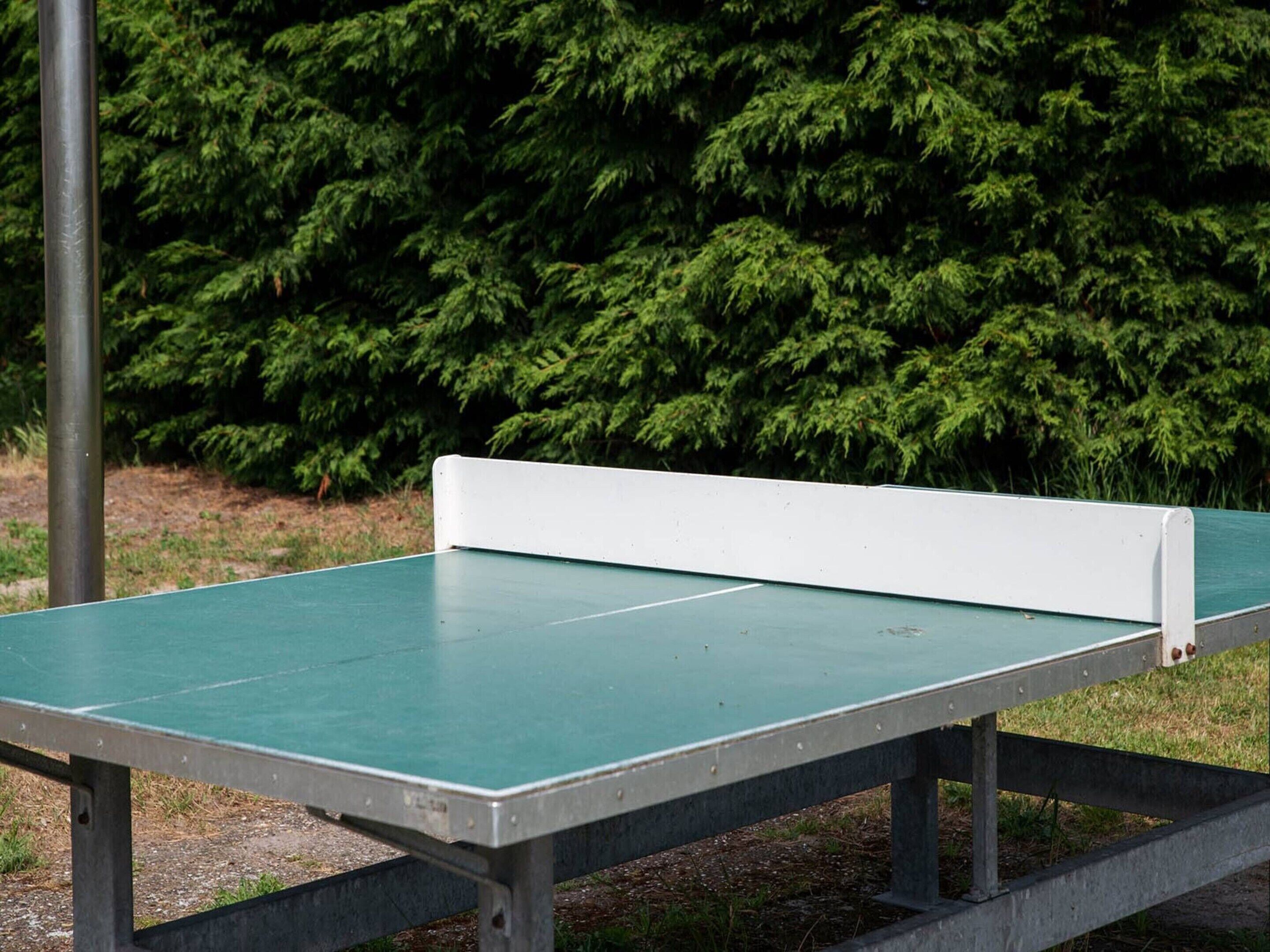 A green ping pong table with a white backrest, set against a backdrop of dense green foliage.