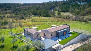 Una casa moderna de dos pisos con un patio amplio, rodeada por un viñedo y un páramo boscoso.