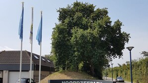 NOORDZEE PARK Schild mit Flaggen, einem großen Baum und einem Gebäude, vor dem ein Auto geparkt ist.