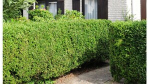Ein zweistöckiges Haus mit einem dunkelbraunen Dach, weißen Ziegelwänden und der Hausnummer 32 an der Seite.