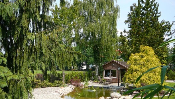 Ein friedlicher Garten mit einem Teich, einer Holzhütte und üppigem Grün.