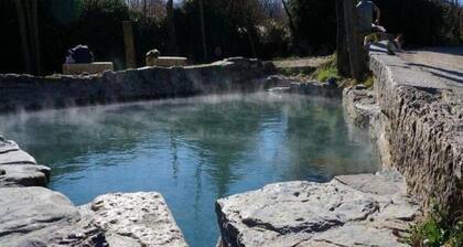 Apartment in Cetona With Pool