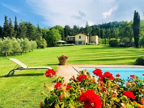A pool area with a lawn, a lounge chair, and a house in the background. - Stylish Cetona Apartment With Pool (Cetona)