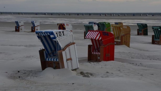 Des chaises de plage, chacune portant un numéro, sont disposées sur le sable.