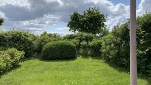 A garden with a neatly trimmed hedge, a large tree, and a blue umbrella structure. - Blauort in Friedrichskoog-spitze (Friedrichskoog)