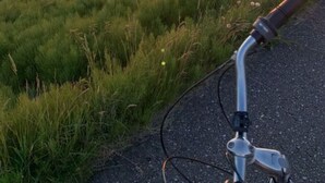 A bicycle on a path with a sunset in the background. - Blauort in Friedrichskoog-spitze (Friedrichskoog)