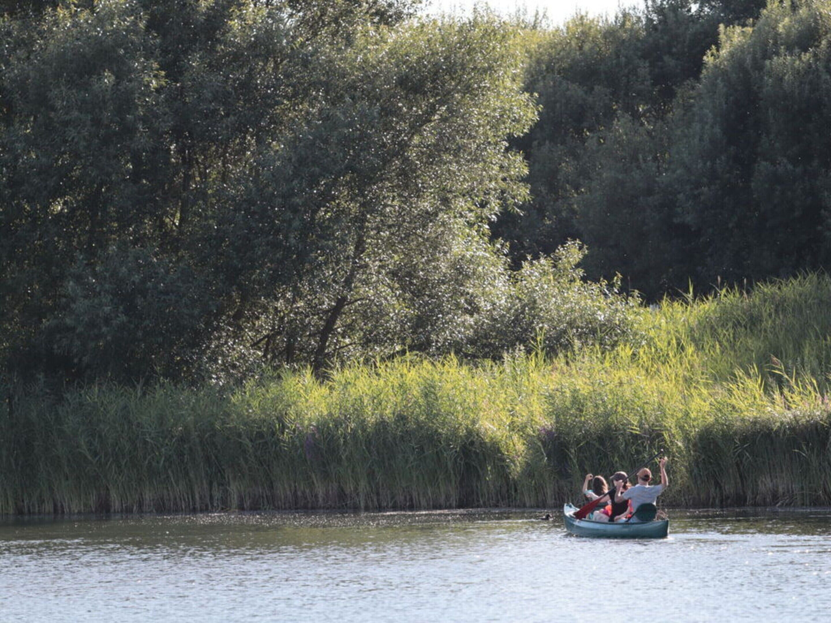 A group of people in a small boat on a calm body of water surrounded by dense vegetation.