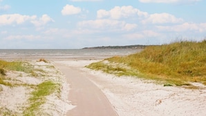 A coastal path leading to the sea with grassy dunes on either side. - 4 Star Holiday Home in Varberg (Varberg)