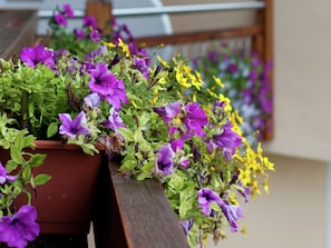A wooden planter box filled with purple and yellow flowers, likely petunias, against a building facade. - Apartment in Altenmarkt Near Ski Lifts (Altenmarkt im Pongau)