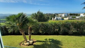 A lush garden with palm trees and a view of a coastal town. - >>casa Conil Buena Vista<< (Conil de la Frontera)