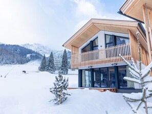 Exterior - Luxury Villa With Sauna, on the Piste (Nassereith)
