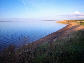 A calm lake with a sandy beach and grassy areas.