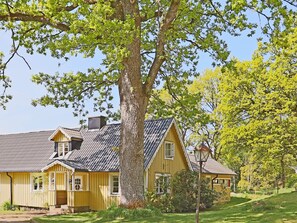 Una casa de madera amarilla con un árbol grande en el frente, un cobertizo pequeño y un césped bien cuidado.