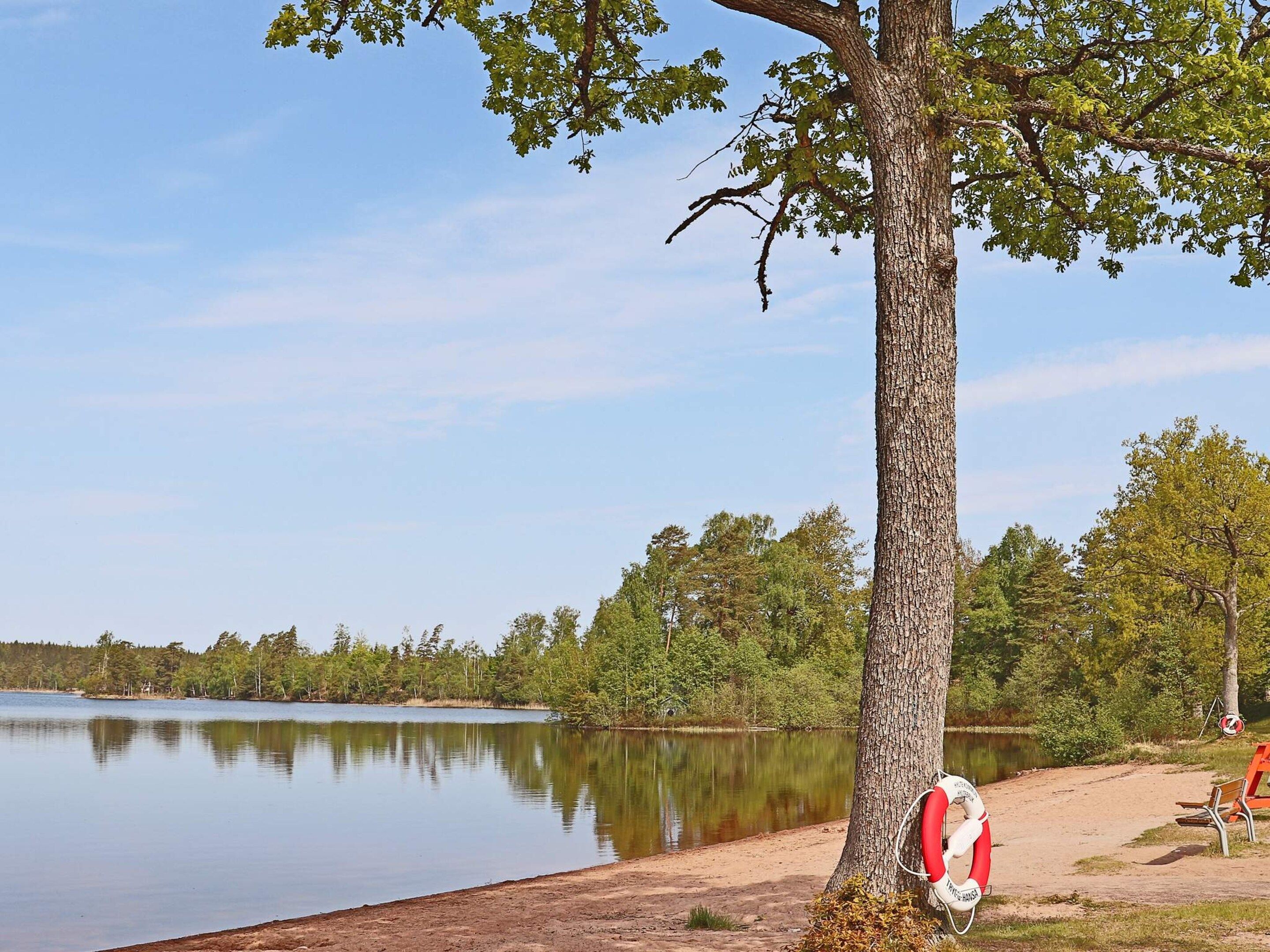 Un'atmosfera tranquilla sul lago, con un albero, una panchina e un salvagente legato all'albero.