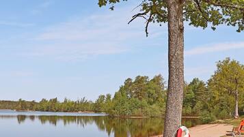 Un'atmosfera tranquilla sul lago, con un albero, una panchina e un salvagente legato all'albero.