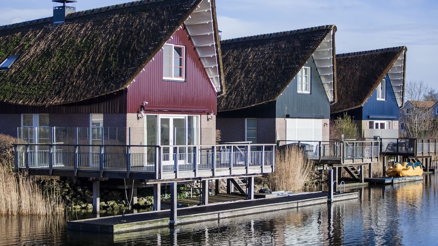 Thatched Villa by Ijsselmeer