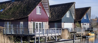 Thatched Villa by Ijsselmeer