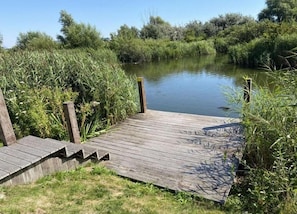 A wooden dock leading to a calm river surrounded by dense greenery.