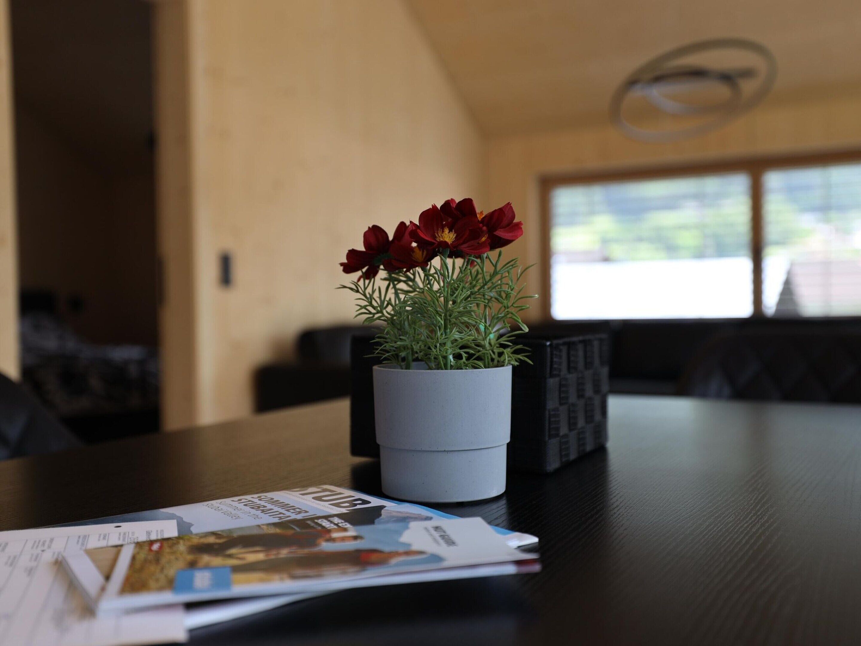 A table with a potted plant and a magazine.
