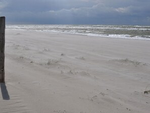 ชายหาด