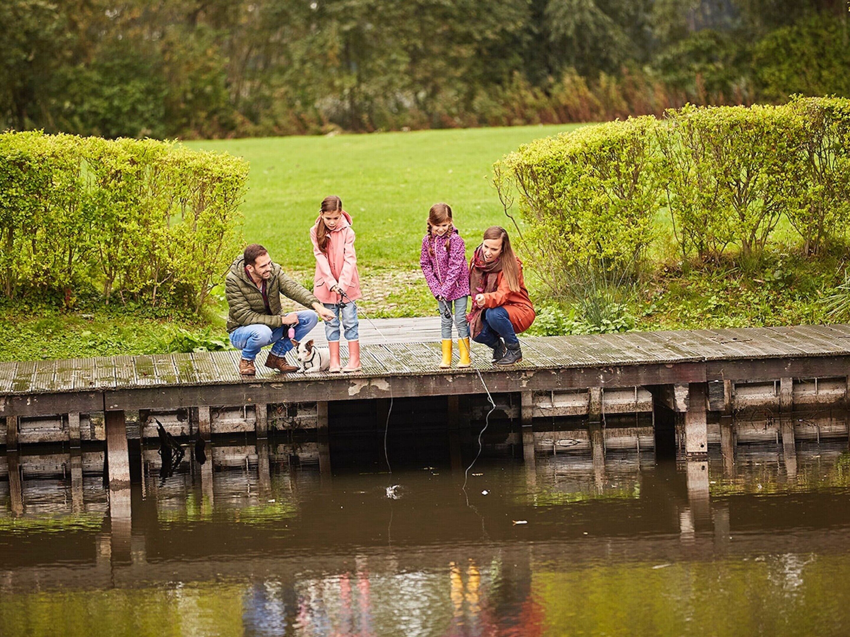 Eine Holzstege über dem Wasser, im Hintergrund eine Wiese und Hecken.