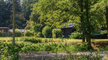 Nhà | Ngoại thất